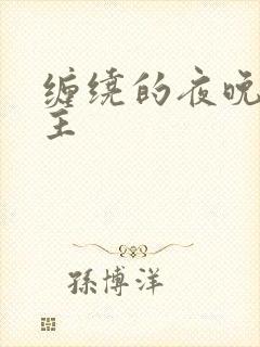 缠绕的夜晚双男主