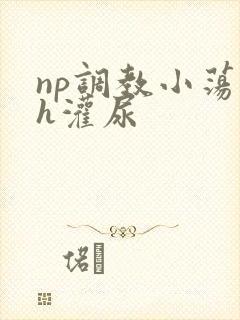 np调教小荡货h灌尿