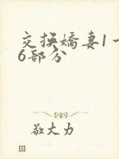 交换娇妻1一36部分