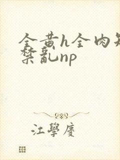 全黄h全肉短篇禁乱np