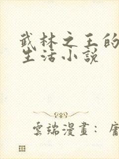 武林之王的退隐生活小说