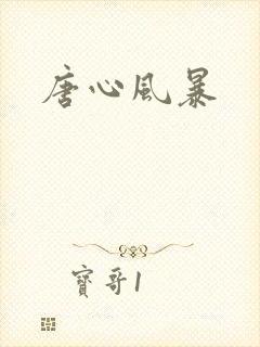 唐心风暴