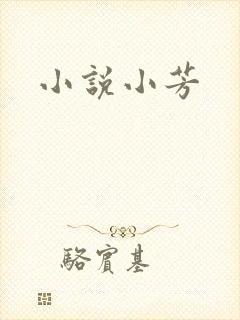 小说小芳