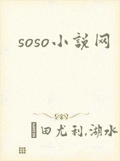 soso小说网
