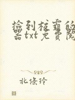 捡到校霸的遥控器txt免费阅读