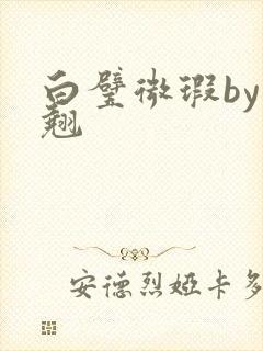 白璧微瑕by连翘