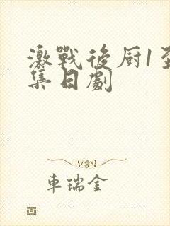 激战后厨1至5集日剧