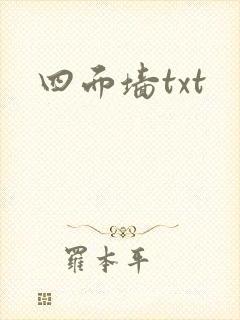 四面墙txt