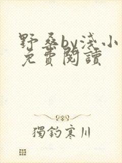 野桑by浅小说免费阅读