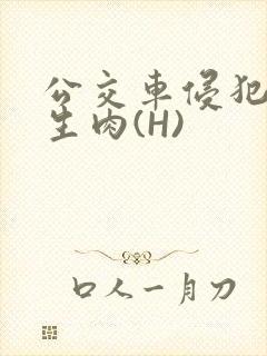 公交车侵犯小男生肉(H)