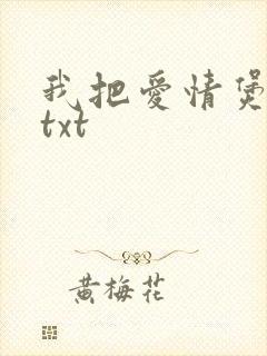 我把爱情煲成汤txt