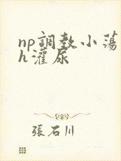 np调教小荡货h灌尿