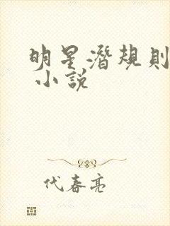 明星潜规则之皇 小说