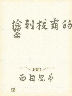 捡到校霸的遥控器