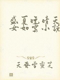 盛夏晚晴天之美女如云小说