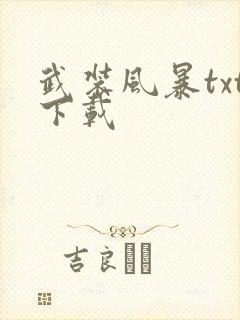 武装风暴txt下载
