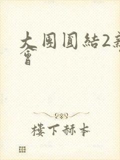 大团圆结2亲情会