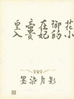 皇帝在御花园进入贵妃的小说