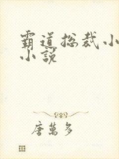 霸道总裁小娇妻小说