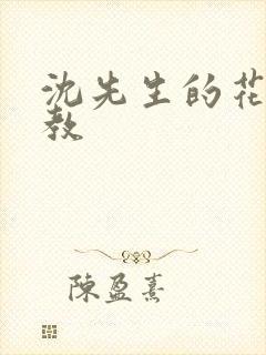 沈先生的花式管教