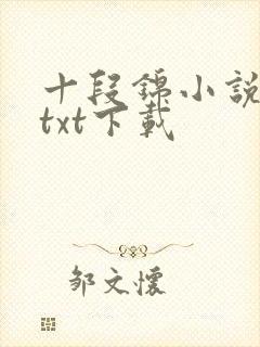 十段锦小说全本txt下载