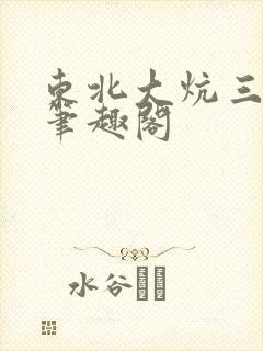 东北大炕三部曲笔趣阁