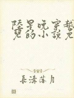 陆星晚穿越成婴儿的小说免费阅读全文