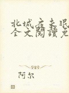 北城夜未眠小说全文阅读免费