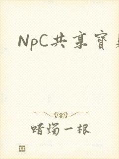 NpC共享宝贝