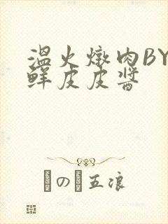 温火炖肉BY海鲜皮皮酱