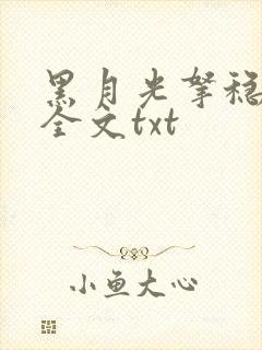 黑月光拿稳小说全文txt