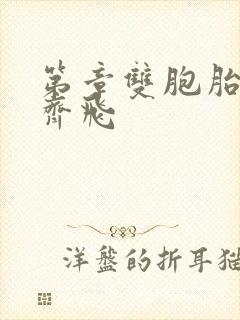 第章双胞胎姐妹齐飞