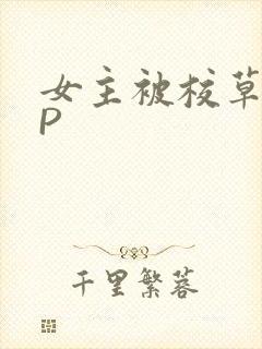 女主被校草们NP