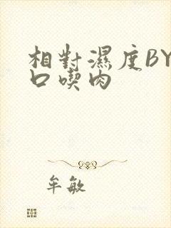 相对湿度BY大口吃肉