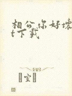 相公你好坏txt下载