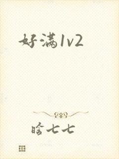 好满1v2