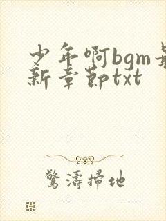 少年啊bgm最新章节txt
