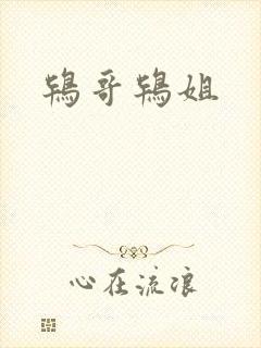 鸨哥鸨姐