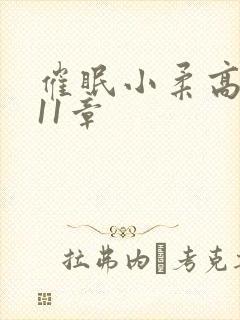 催眠小柔高达第11章