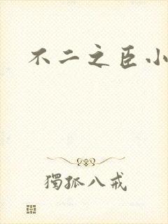 不二之臣小说