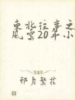 东北往事之黑道风云20年小说