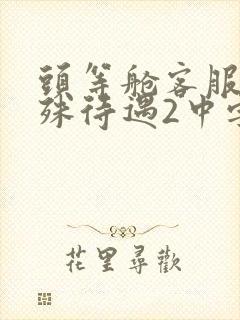 头等舱客服的特殊待遇2中字