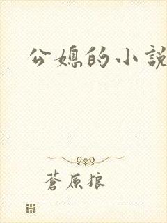 公媳的小说