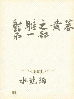 射雕之黄蓉新传第一部