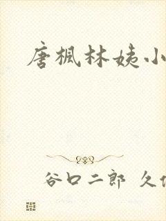 唐枫林姨小说
