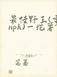 最佳野王(电竞nph)一坨薯饼