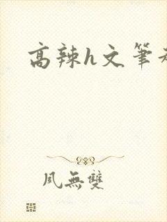 高辣h文笔趣阁