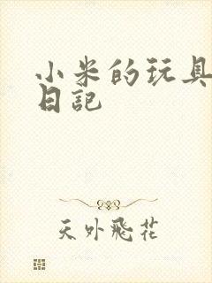 小米的玩具羞辱日记