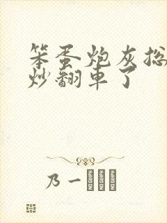 笨蛋炮灰总被爆炒翻车了