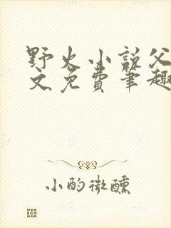 野火小说父女全文免费笔趣阁